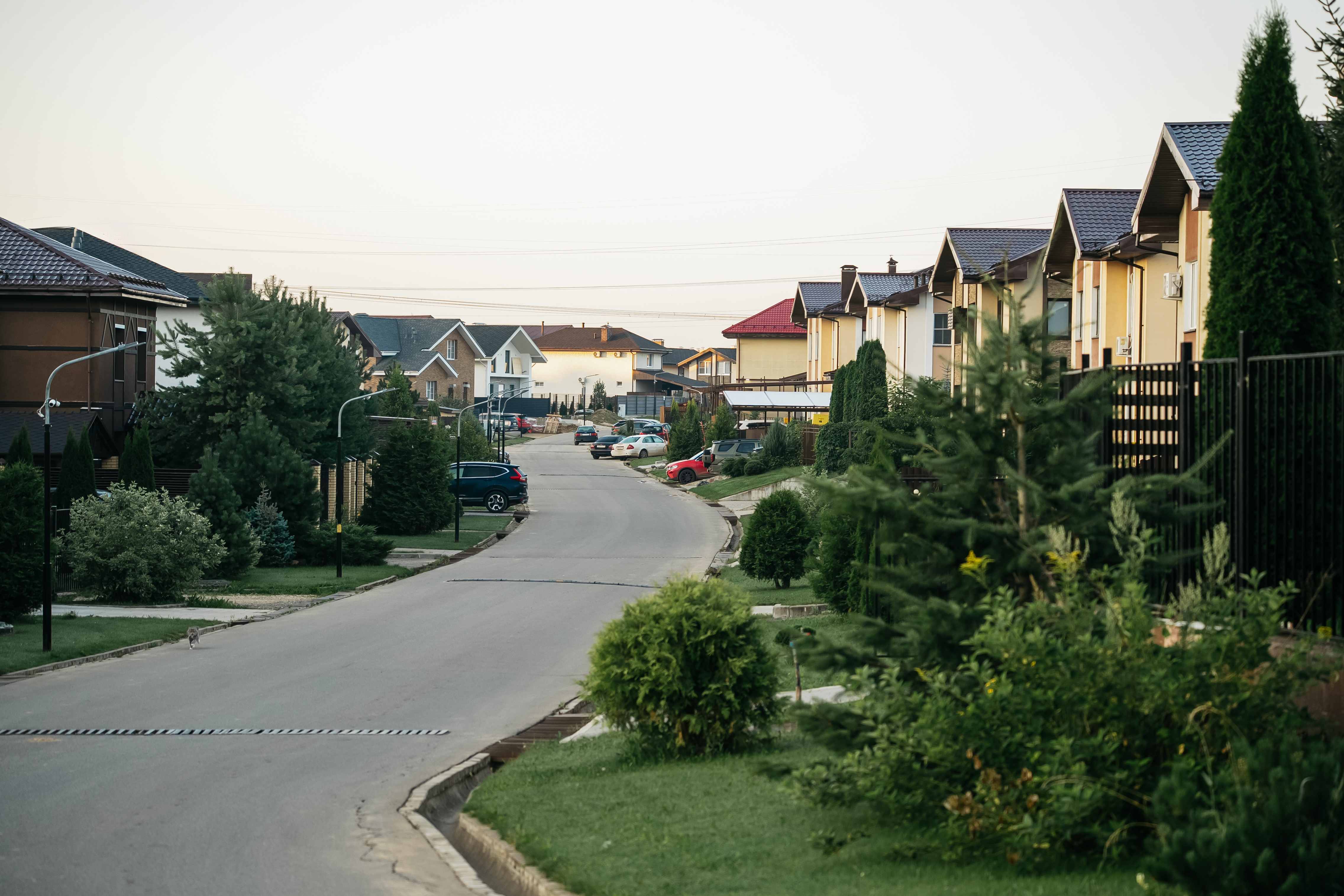 Чувство дома в окружении леса 